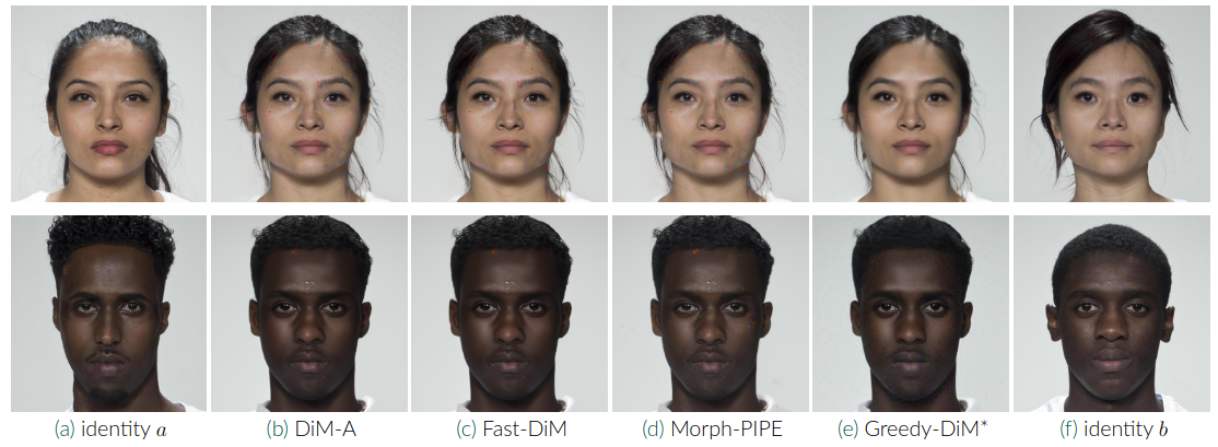 Morph visual comparison